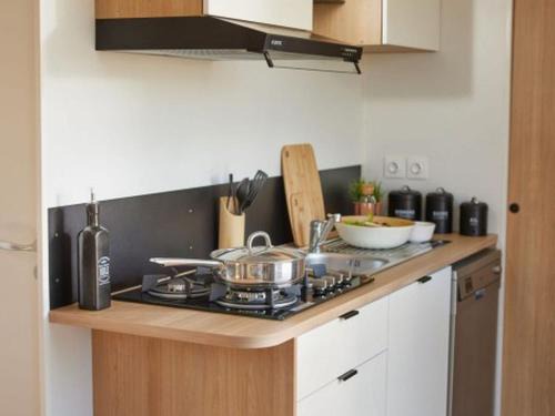 Arles-sur-Tech Other | Mobil home - 4 pers. - API-1-52-2953