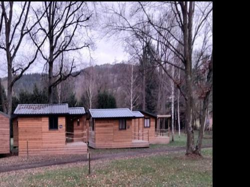 Sauxillanges Other | Mobil-home accueillant animaux - 4 pers. - API-1-52-2616