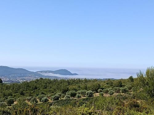 La Cadiere-d'Azur Other | Mobile home dans la garrigue vue mer