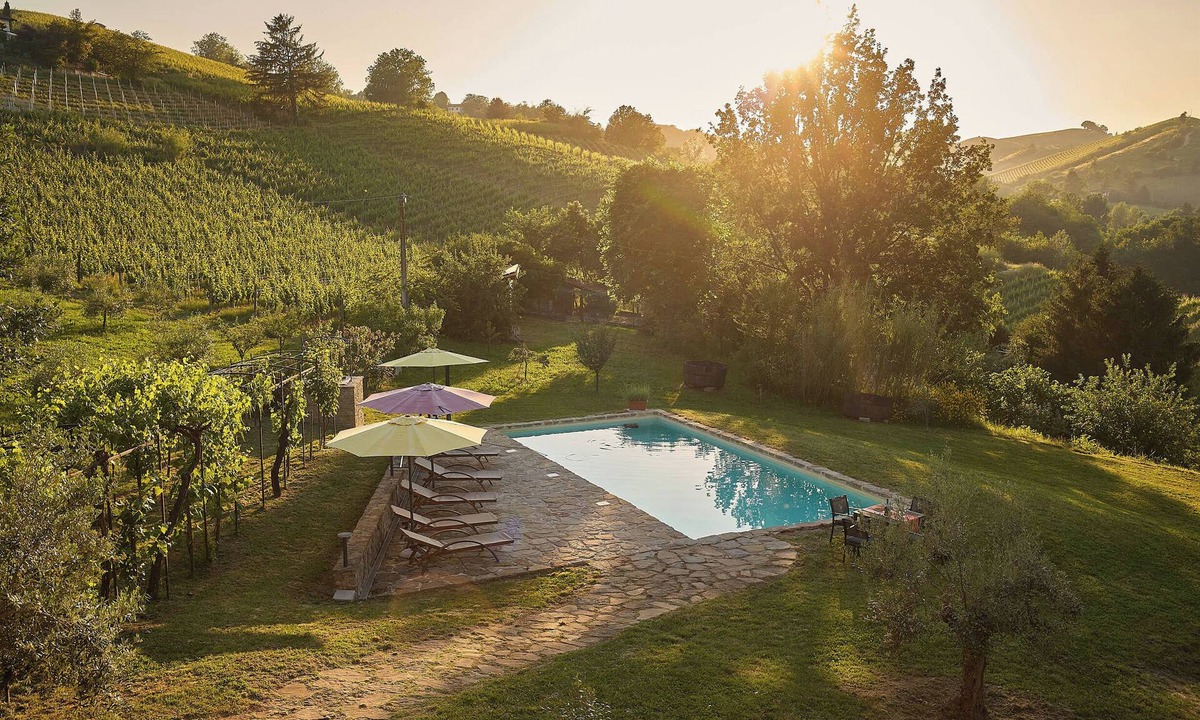 Strevi Apartment | MODERN LOFT IN THE MIDDLE OF THE VINEYARD WITH AMAZING SALT WATER POOL