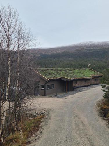Kroderen House | Modern mountain cabin with panorama view- Special offer summer 2026 for longer stay