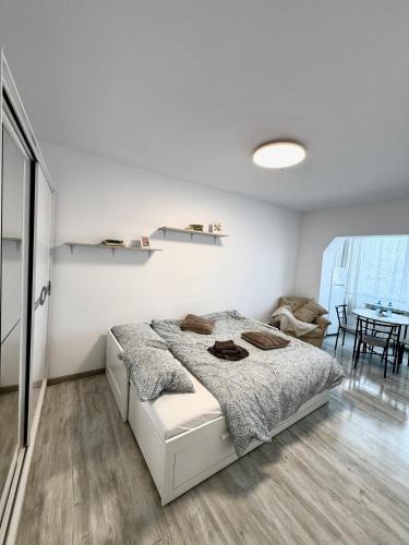 Falticeni Apartment | Modern Studio