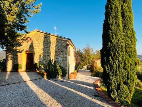 Chianni Bed & Breakfast | Modern Tuscan Escape Podere la Svolta