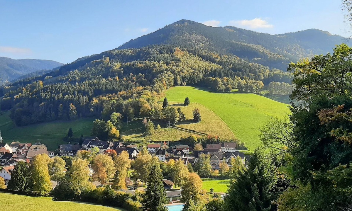 Elzach Apartment | Modern vacation apartment in the climatic health resort of Oberprechtal in the middle of the Black Forest