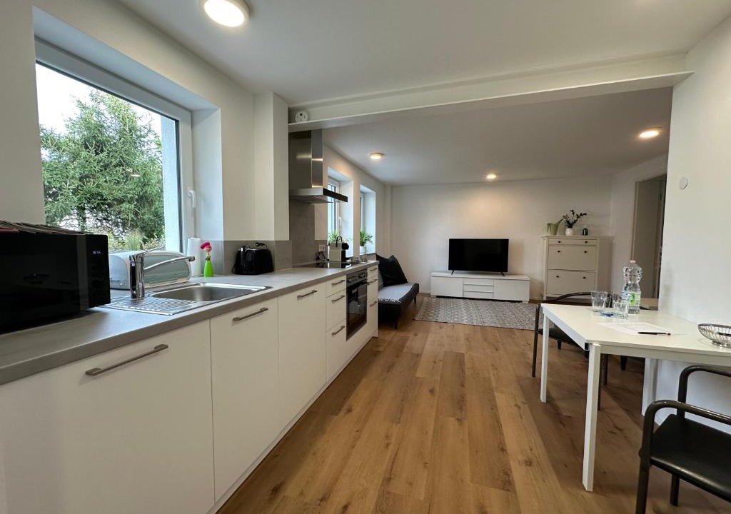 Wasseralfingen Apartment | Modernes Apartment mit eigener Terrasse & Garten