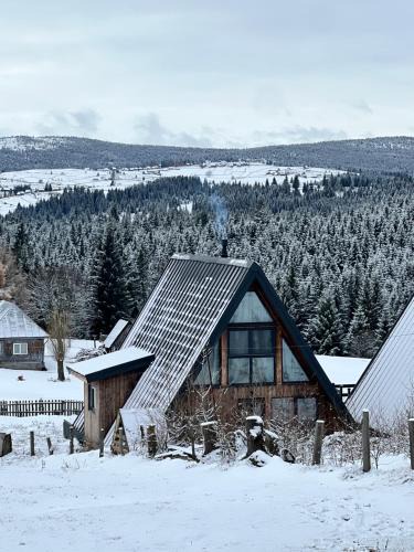 Marisel Ski Chalet | Mokki - A-frame cozy în Apuseni