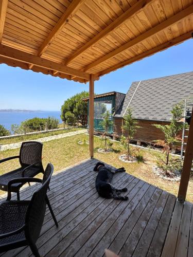Marmara Other | MOLA Bağ Evi