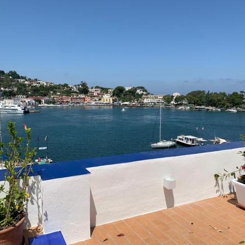 Ischia Porto Bed & Breakfast | Molo35