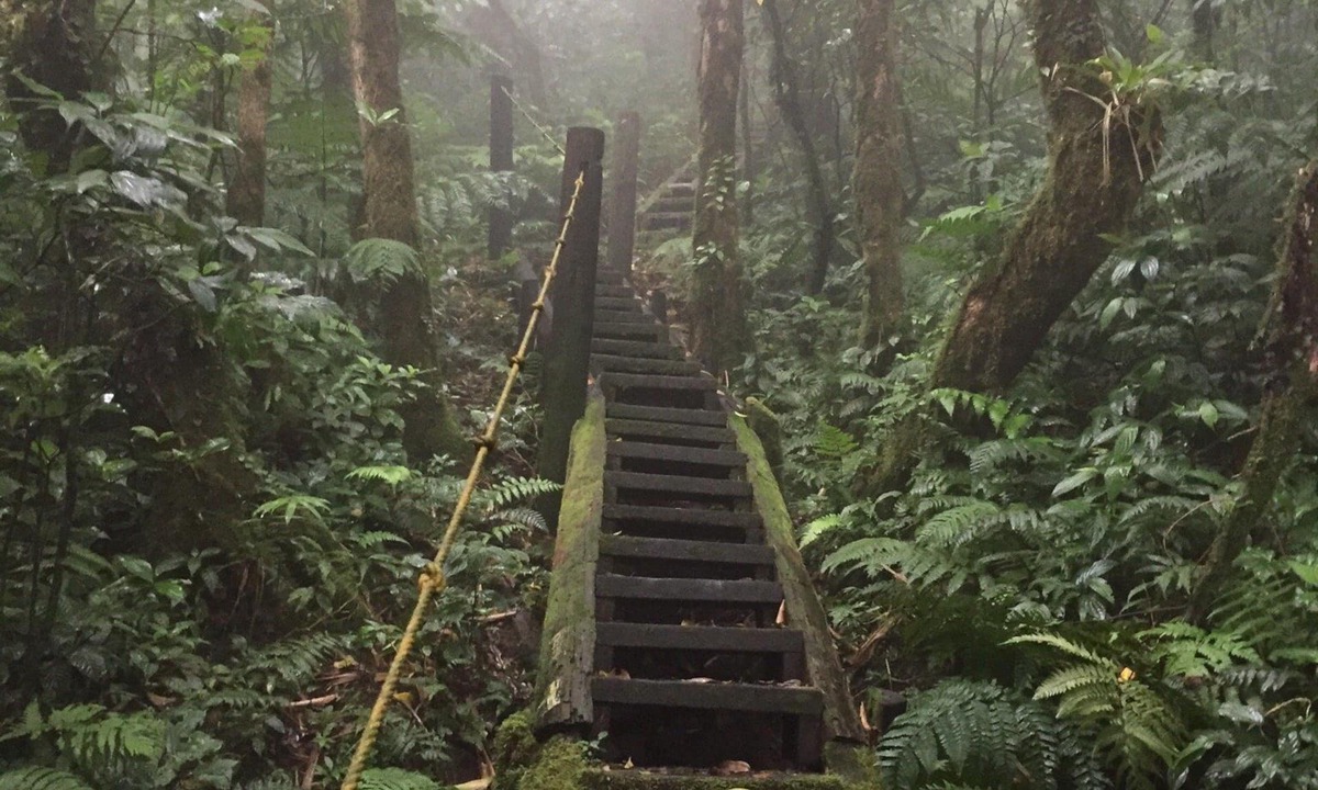 Mombacho Volcano Nature Reserve Cabin | Mombacho Lodge