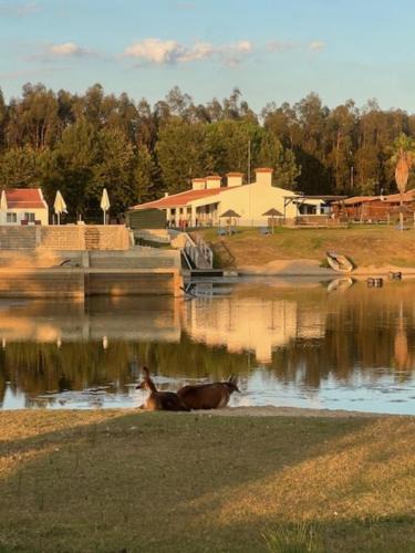 Montijo House | Monte do Lago, Pegões