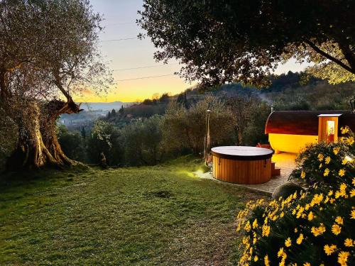 Chiusi House | Montebello degli Olivi