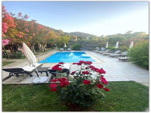Faralya Hotel | Montenegro Motel