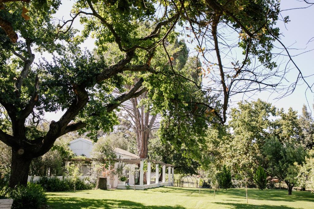 Tulbagh House | Montpellier de Tulbagh