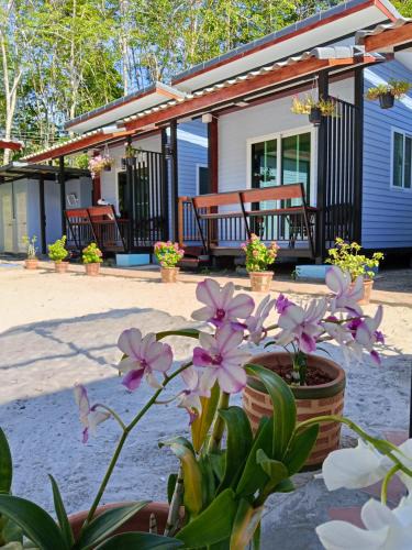 Ko Mook Bed & Breakfast | Mook Raya Resort