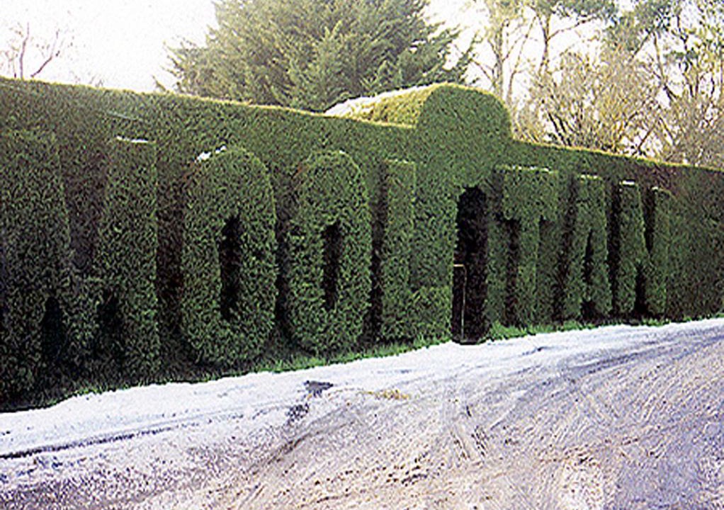 Hepburn Springs House | Mooltan House