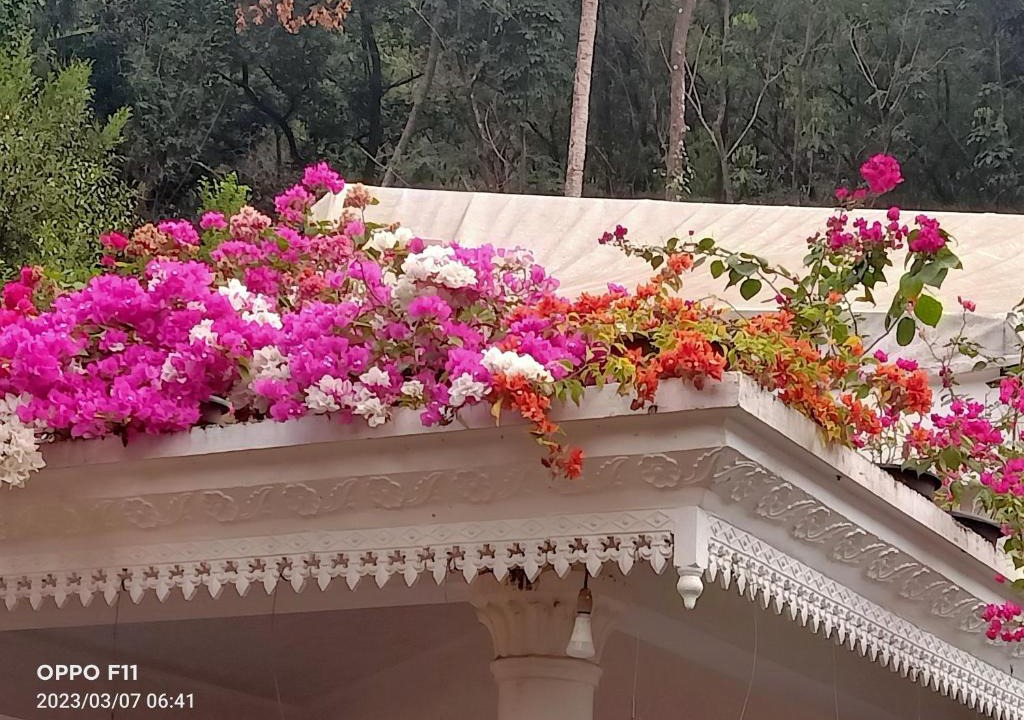 Kedavur House | Moon moon Garden