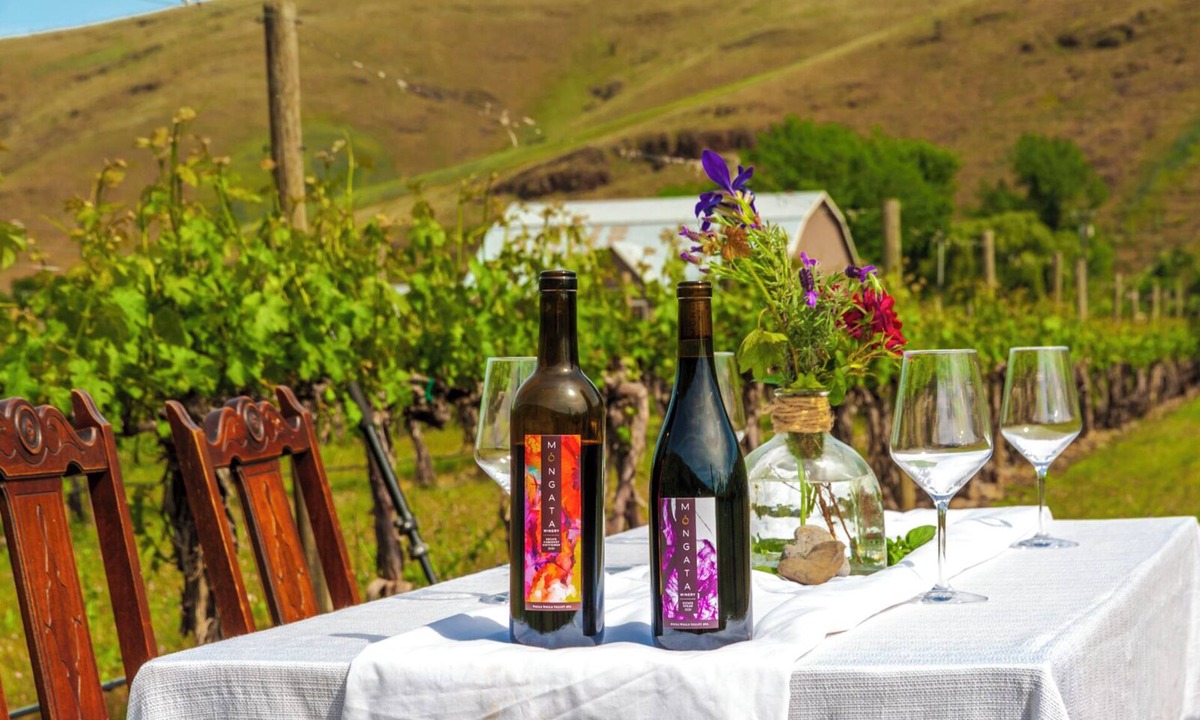 Milton-Freewater House | Moonrise Suite in a Vineyard + Winery!