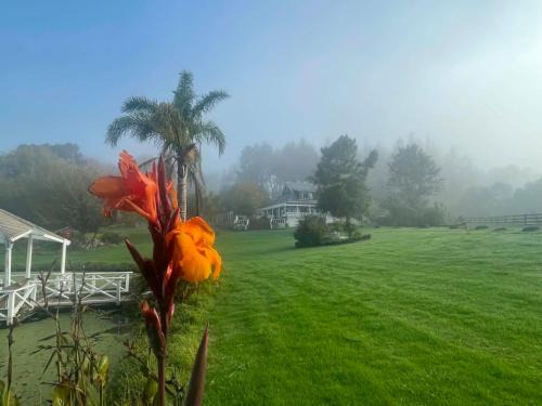 Dairy Flat House | MoonWillow Manor