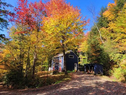 Warren House | Morel Mountain Hideaway