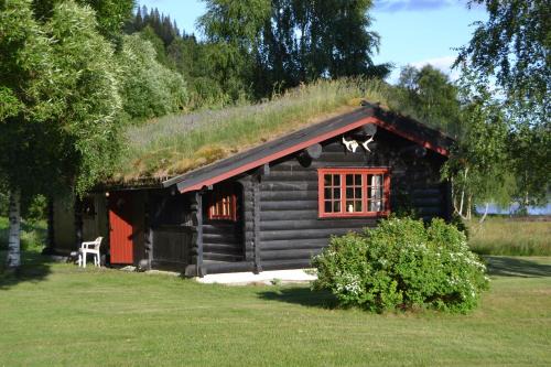 Morgedal Other | Morgedal Camping