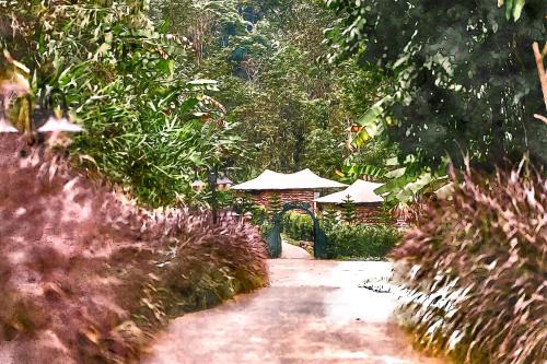 Doi Saket Resort | Mornery The Riverside
