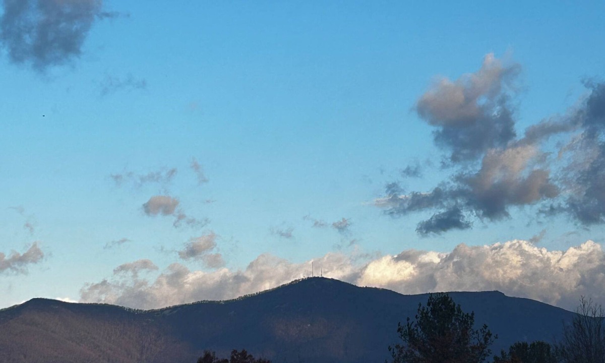 Mount Airy Apartment | Morning Glory Ridge Too! A cozy guest retreat. Mountain and nature views.