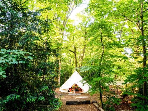 Penwood House | Moroccan - Ukc5930