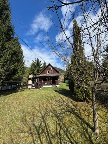 Lunca Bradului House | Mountain Cabin Retreat - Terrace, BBQ, Hot Tub