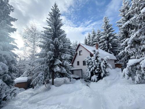 Muntele Baisorii House | Mountain Chalet - Cabana la Muntele Baisorii