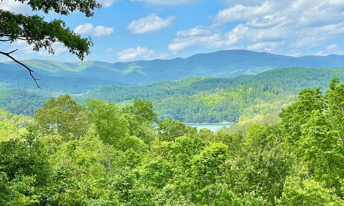 Unaka House | Mountain/Lake view. Hike, winery water sports in Bear Paw. New & handicap kind.