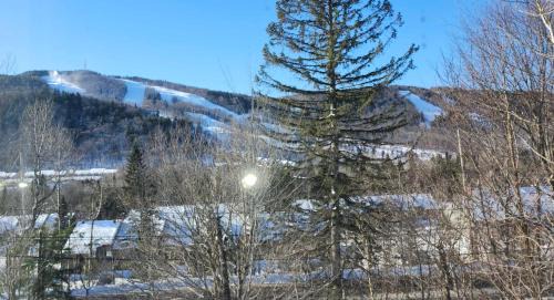 Stoneham House | Mountain view chalet avec vue sur la montagne
