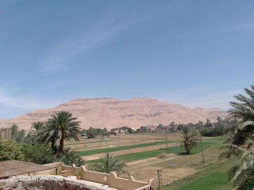 Luxor Apartment | Mountain View