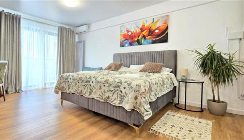 Piatra Neamt Apartment | Mountain View Studio