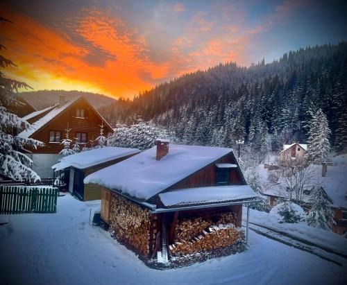 Lacu Rosu Ski Chalet | Mountain View Tiny House