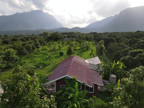 Mueang Ngai House | Mountain view Villa Private Tropical Garden