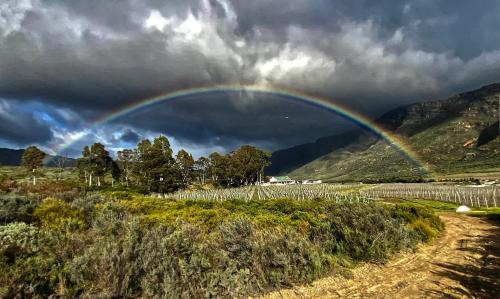 Langeberg Villa | Mountainview Vineyards