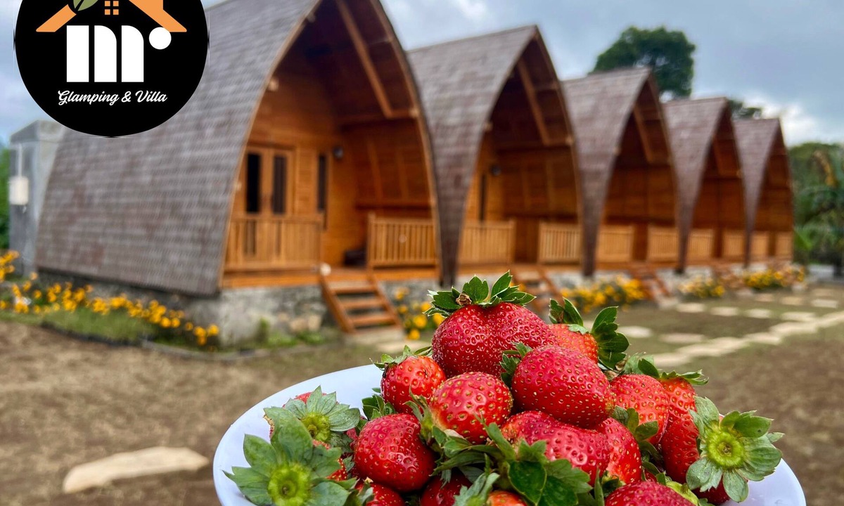Bedugul Cabin | MR GLAMPING & VILLA