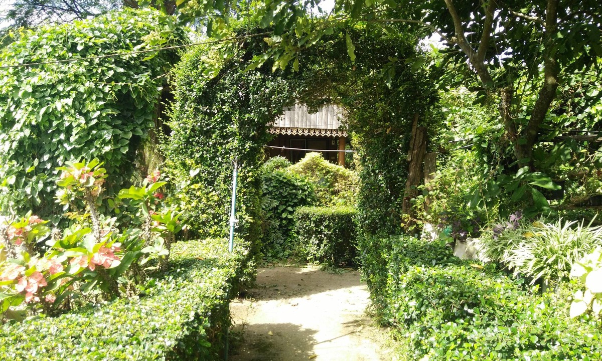 Pai House | Mr Jan Guest House