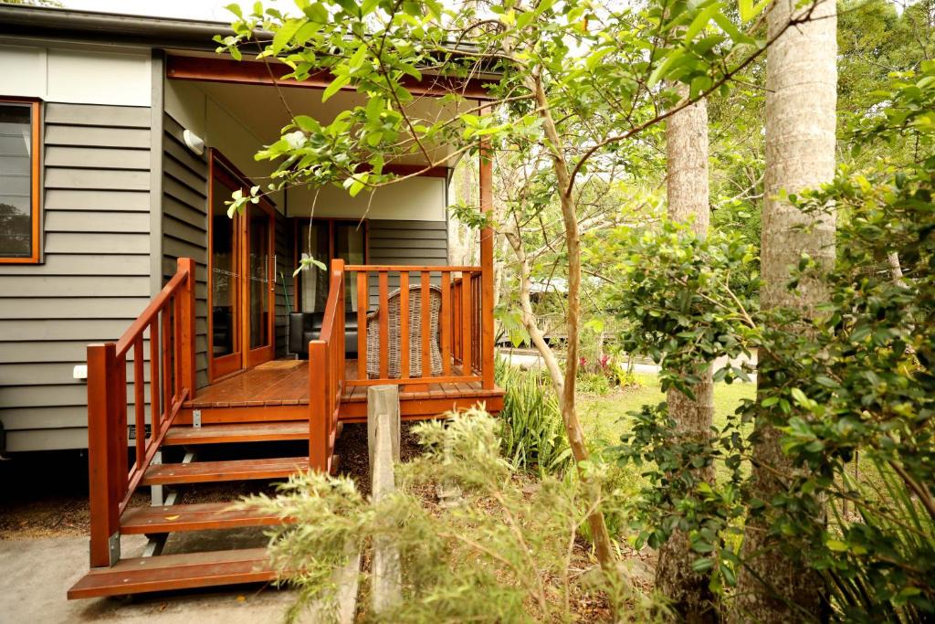 Mount Warning Other | Mt Warning Rainforest Park