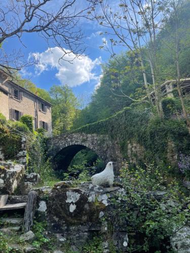 Loro Ciuffenna Villa | Mulino Morandi