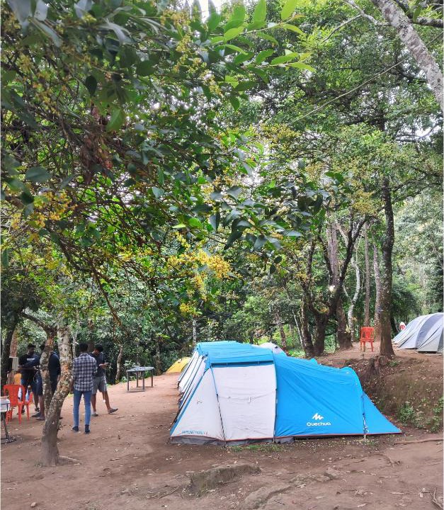 Suryanelli Other | Munnar iwa