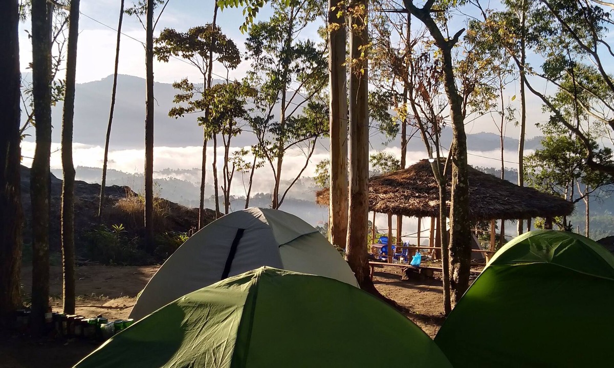 Suryanelli Bed & Breakfast | Munnar Jungle Camp