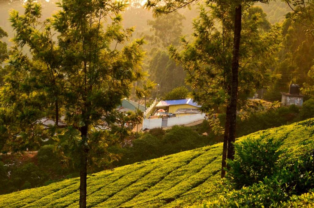 Devikolam Villa | Munnar Valley View