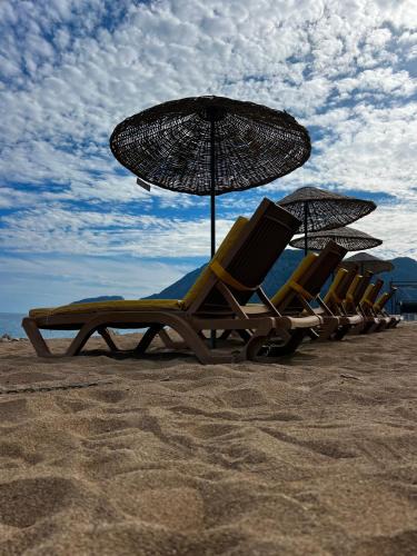 Cirali Resort | Myland Nature