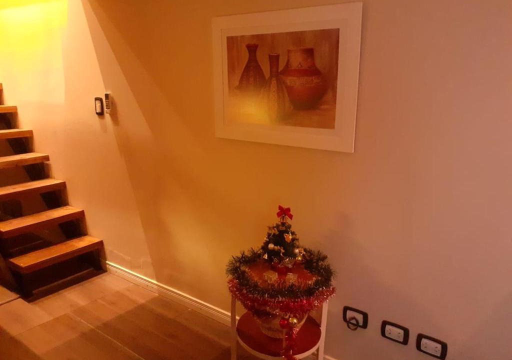 Mendoza City Center Apartment | Mystical wine aparment