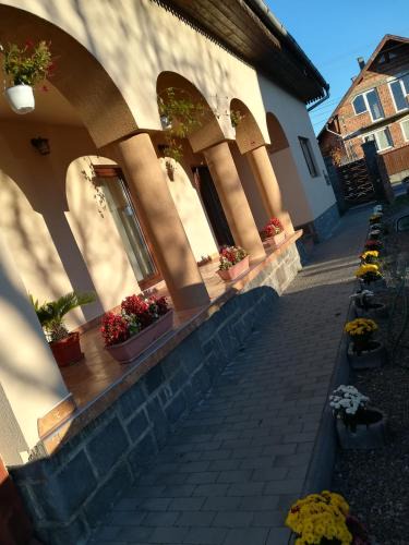 Corund Bed & Breakfast | Nárcisz B&B