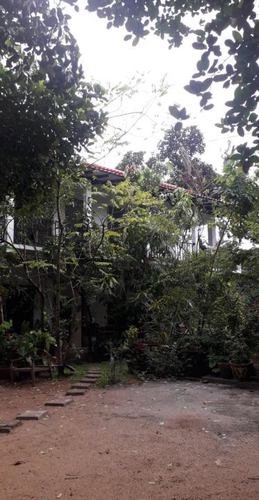 Kandalama House | Nag