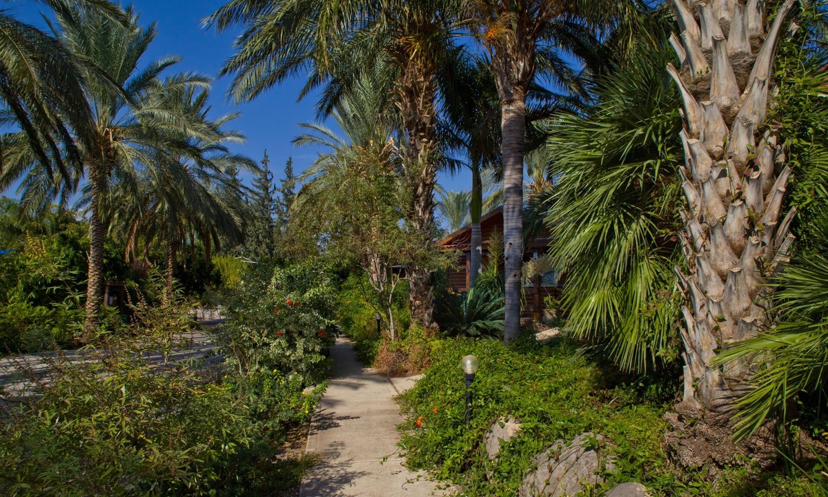Ramot House | Naomi's B&B