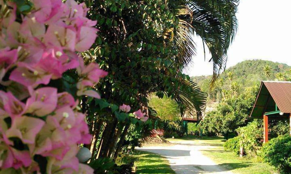 Ngao Hotel | Nason Resort
