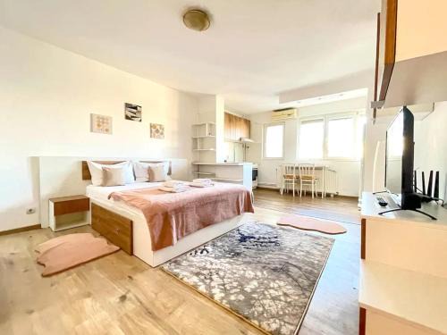 Sector 3 Apartment | National Arena Studio 2